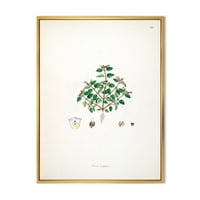 DesignArt 'Drevni biljni život xiii' Farmhouse Framed Canvas Wall Art Print
