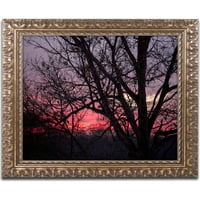 Zaštitni znak mumbo jumbo ružičasti zalazak sunca platno Jasona Schaffera, Zlatni ukrašeni okvir
