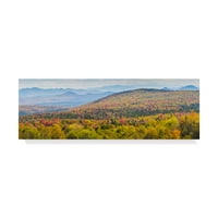Zaštitni znak likovna umjetnost 'Jesen u Vermontu' platno umjetnost Brenda Petrella Photography LLC
