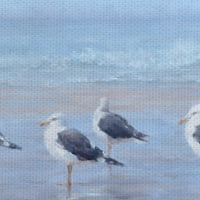Morske ptice Tony Hinchcliffe zamotani platno umjetničko slikanje tiska