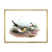 DesignArt 'Drevna ptica ilustracija II' Farmhouse Framed Canvas Wall Art Print