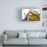 THAO LE 'WHOOPING CRANE' CANVAS ART