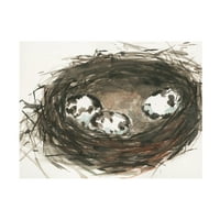 Samuel Dixon 'gniježđenje jaja II' platno umjetnost