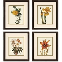 Slike uokvireni Cvjetni Botanički cvjetovi umjetnički otisci, set od 4