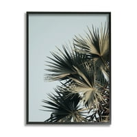 Stupell Industries lišće biljke palme Plavo nebo obalna fotografija crni uokvireni umjetnički tisak zidna umjetnost