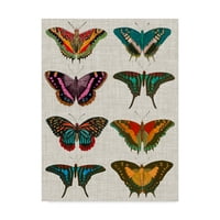 Zaštitni znak likovna umjetnost 'Polychrom Butterflies II' Platno umjetnost by Vision Studio